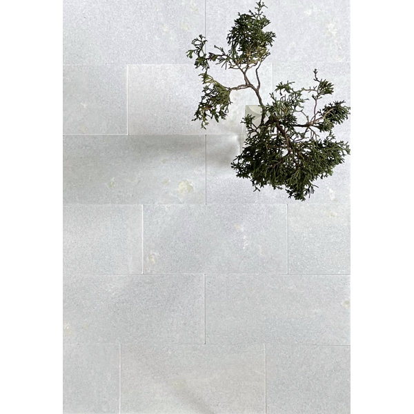 Seven Seas Collection Celeste 6" x 12" Marble Look Subway Wall & Floor
